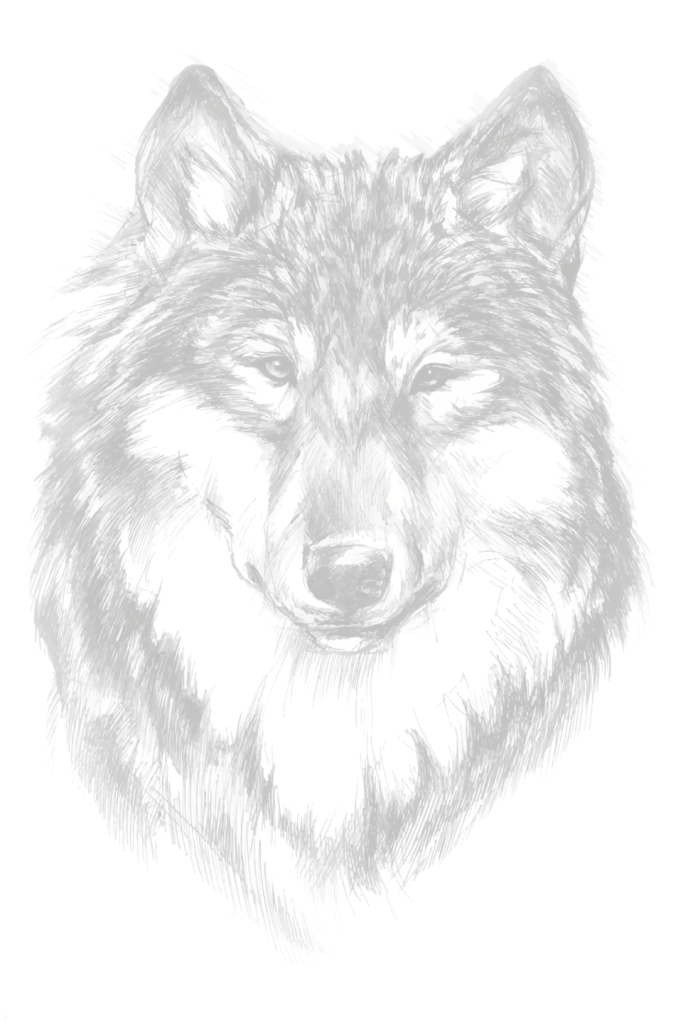 Elemental wolf illustration